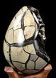 Septarian Dragon Egg Geode - Black Crystals #37289-4